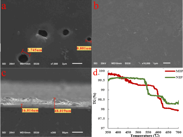 Fig.2 a) Surface SEM image of fMIP. b) Surface SEM image of fNIP. c) thickness of fMIP.d) thermogravimetric curve of MIP and NIP.